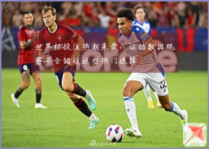 世界杯投注热潮来袭，你的数据观察不会错过这些热门选择