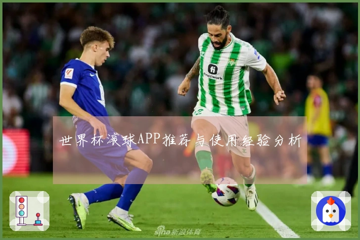 世界杯滚球APP推荐与使用经验分析