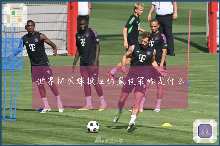 世界杯买球投注的最佳策略是什么